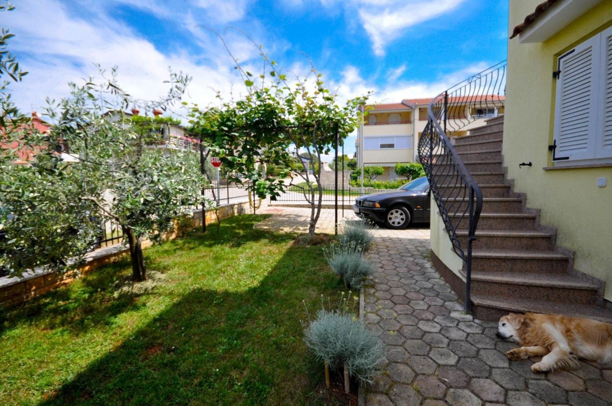 Ferienwohnung Fuer 2 Personen 30 M2 In Novigrad, Istrien Karpinjan Экстерьер фото